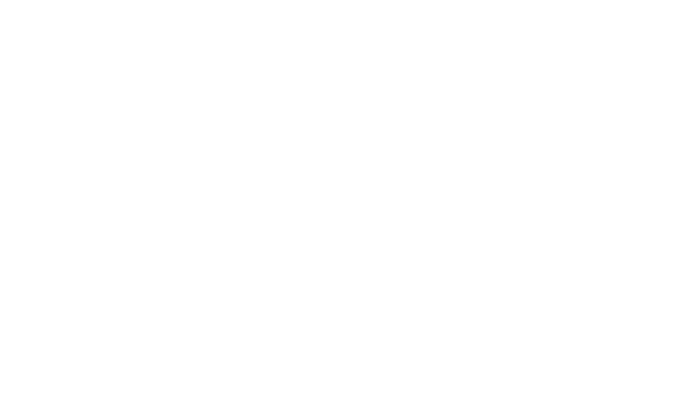 Geysir Hestar